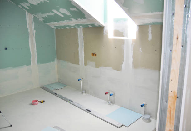 Best Mold Documentation for Insurance Claims  in Nowthen, MN