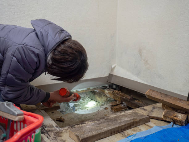 Mold Remediation for Vacation Homes in Nowthen, MN
