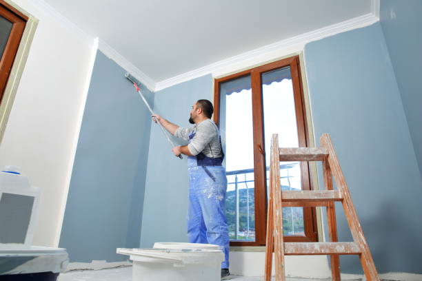 Best Post-Remediation Verification Testing  in Nowthen, MN