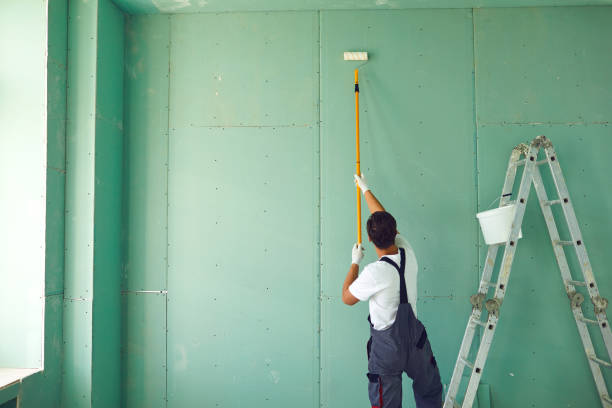 Professional Mold Removal in Nowthen, MN