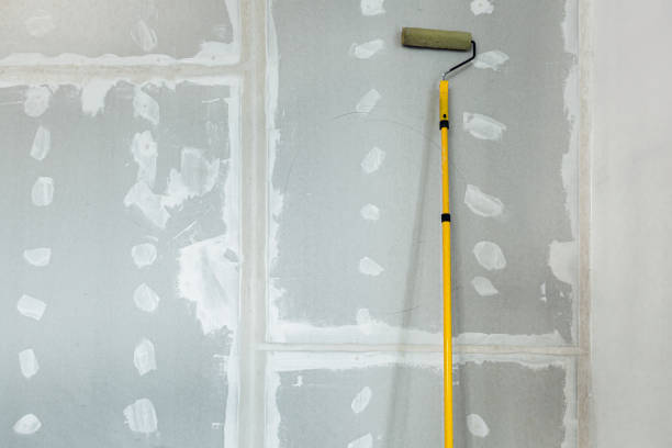 Best Real Estate Mold Inspection  in Nowthen, MN