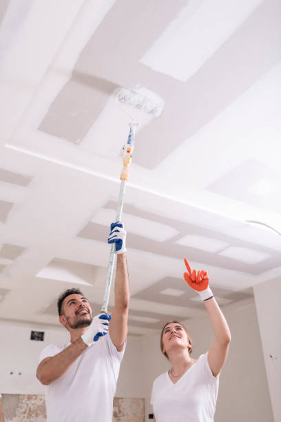 Best Basement Mold Removal  in Nowthen, MN
