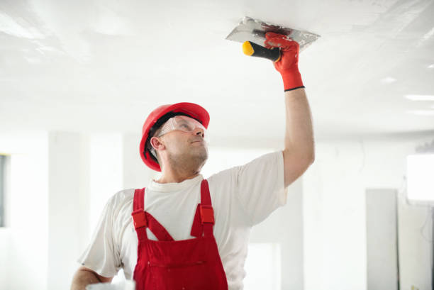 Best Water Damage & Mold Remediation  in Nowthen, MN