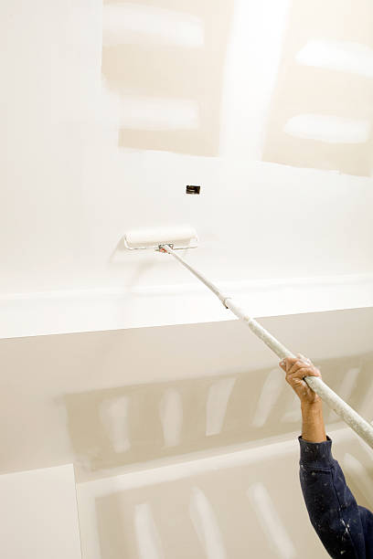Best Biohazard Mold Removal  in Nowthen, MN