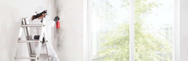 Best Dehumidification Services  in Nowthen, MN